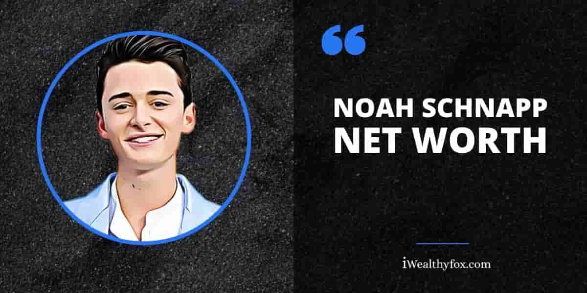 Noah Schnapp Net Worth iWealthyfox