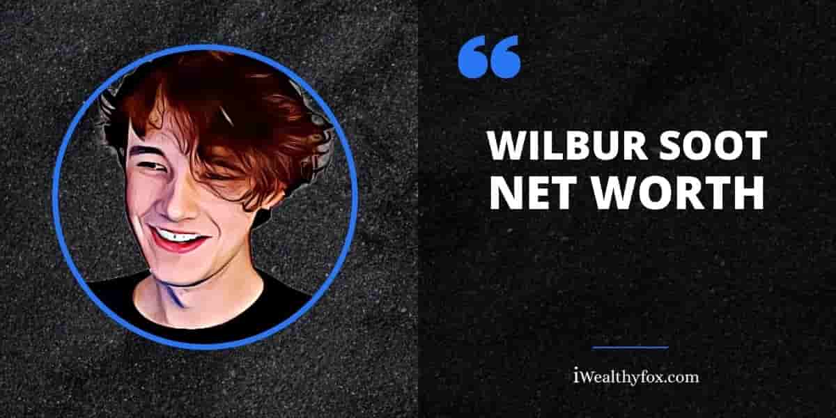 Net Worth of Wilbur Soot -iWealthyfox