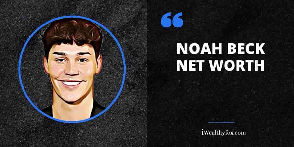 Net Worth of Noah beck iWealthyfox