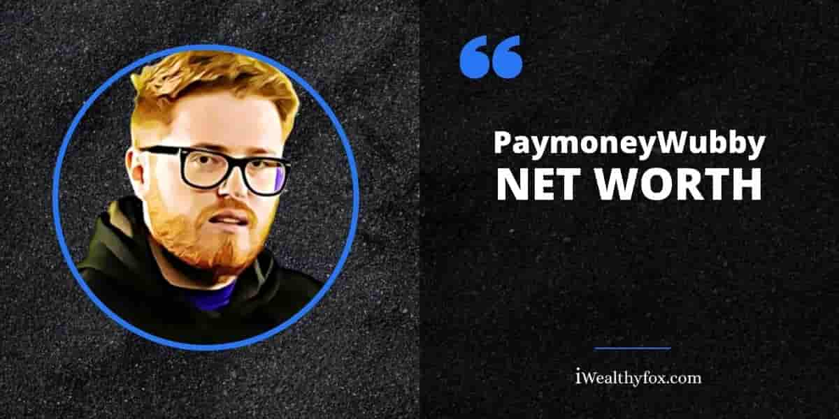 PaymoneyWubby Net Worth iWealthyfox