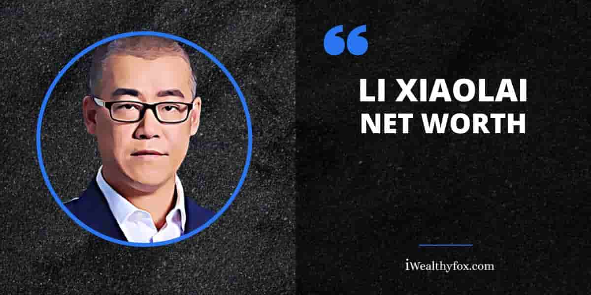Net Worth Li Xiaolai iWealthyfox
