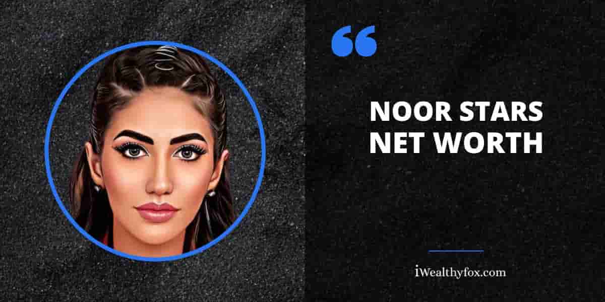 Net Worth of Noor Stars